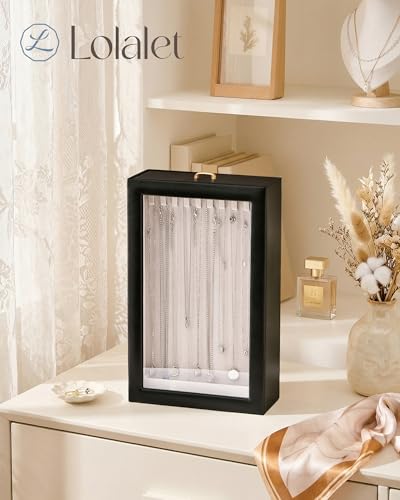 Lolalet Upgraded Double-Sided Hanging Necklace Organizer Box, Jewelry Display Case with Double-Sided Clear Window for Necklaces Bracelets, Tangle-Free Necklace Storage Box, Black, 1-Layer 20 Hooks - color: Black, size: 1-Layer, 20 Hooks