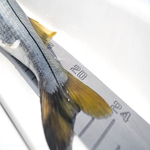SeaDek Foam Fishing Ruler | Fish Ruler Perfect Boats, Coolers & Kayaks | 36" Fishing Measurement Tool | Fishing Accessories | 3M Adhesive Backing | Mocha - color: Brushed, Mocha