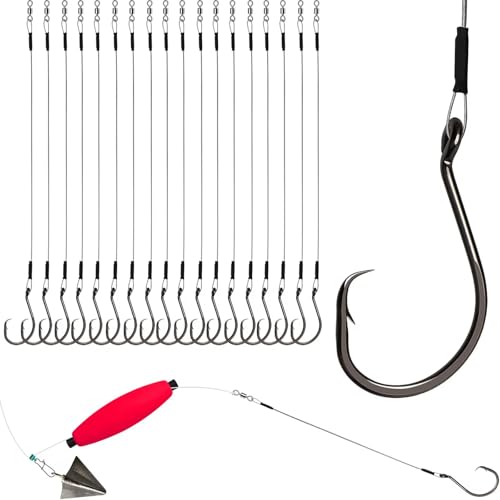 Dovesun 30PCS/20PCS Circle Hooks Fishing Pre-Rigged Catfish Rig for Saltwater Freshwater Catfish Hooks with Wire Leader 2/0 4/0 6/0 8/0 10/0 - color: B-2/0 Circle Hooks Kit-20PCS
