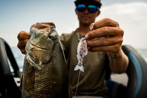 6th Sense - Panorama Sampler Pack - Multi-Size Soft Swimbait Bundle for Bass, Crappie, and Multi-Species Fishing