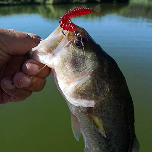 RUNCL Anchor Box - Paddle Tail Swimbaits, Soft Jerk Baits, 20/40/50/60pcs Soft Fishing Lures, Curved Tail Grubs - 3D Lifelike Eyes, Split/Boot/Curved/Straight/Thin Tail - 1/2/3/4/5in, Proven Colors - color: T - Straight Tail Worms (2-1/3in, 50pcs)