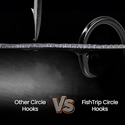 FishTrip 25pcs Circle Hooks Saltwater, in-Line 5X Strong Fishing Hooks for Saltwater & Freshwater, Live Bait Non-Offset Wide Gap Fish Hook for Catfish, Striped, Bass, Salmon, Mackerel, Tuna - size: 2/0_25pcs