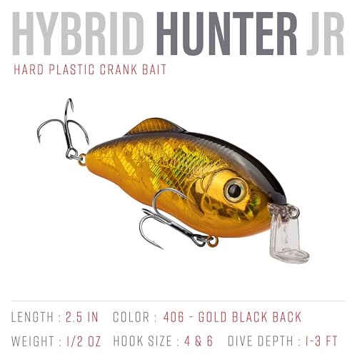 Strike King Hybrid Hunter Shallow Jr. Fishing Lure, Shallow Diving Crankbait, 90-Degree Bill, 3D Eyes, Loud Rattle, Dives 1 to 3-Feet,Size 4 & 6 Treble Hooks - color: Gold/Black Back, size: 1/2 oz