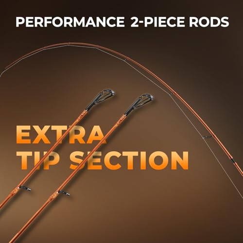 KastKing Lethal Blaze Twin-tip Fishing Rod and Reel Combo, Spinning & Baitcaster Combo, Flame Pattern Design, IM6 Graphite 2Pc Rod with Backup Tip Section, Stainless-Steel Guides, EVA Handle - style: Spin-6'2" Ml-2000 Reel (2pcs+extra Tip)