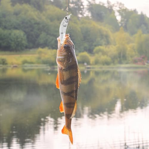 10pcs/20pcs Fishing Blanks Lures Kit Fishing Topwater Unpainted Swimbait Unpainted Crankbaits Hard Baits DIY Lure for Bass Salmon Trout Saltwater and Freshwater - color: E: 20pcs 0.4oz/11.5g and 0.51oz/14.6g