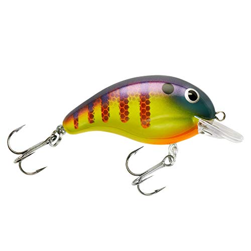 Bandit Lures BDT - color: Viral Perch