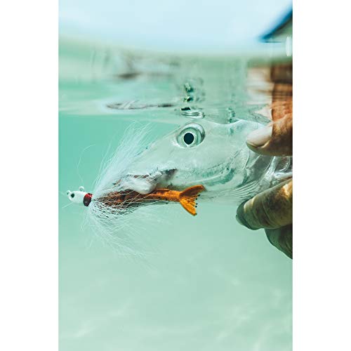 Berkley Gulp! Shrimp Saltwater Fishing Soft Bait - color: Natural Shrimp, size: 3"
