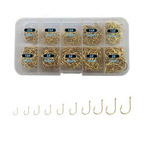 Dyxssm Small Fishing Hooks for Freshwater, 1000pcs 600pcs 400pcs Trout Fish Hook Set, 10 Sizes #2-#20 - color: Gold, style: 600pcs (#2-#20)