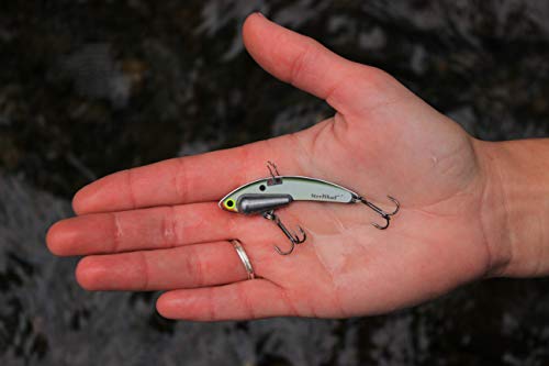 SteelShad - Heavy Series 1/2 oz. Bass Fishing Lures - Lipless Crankbait for Freshwater Fishing - Perfect for Smallmouth & Largemouth Bass, Walleye, Pike & Trout - Heavy Series - color: Tennessee Shad