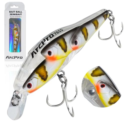 Fishing Lures Minnow Fishing Jerkbait Hard Bait, Noisy Wiggling and Vibrating Actions for More Bites, Deep Diving Swimbait Hard JerkBaits for Bass Pike Trout Walleye Freshwater Saltwater - color: Plectropomus Laevis