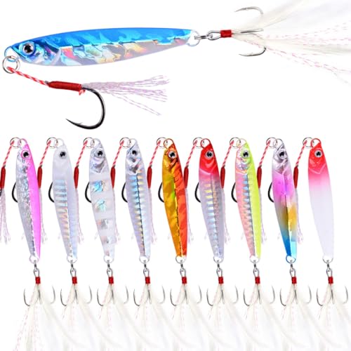 Saltwater Fishing jigs Speed Jigging Slow Jigging Pitching Lures Artificial Lures - size: 10pcs 21G