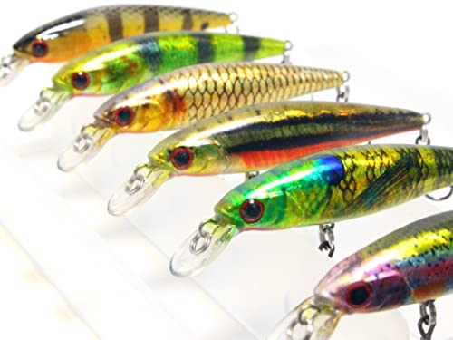 Minnow Crankbait for Bass Fishing Bass Lure Jerkbait Fishing Lures and Tackle Box - color: HM762KB