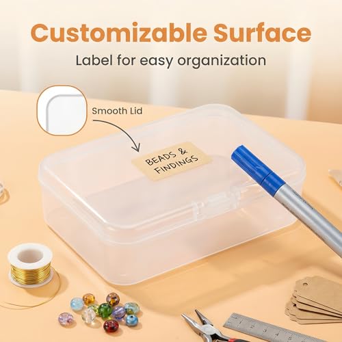 LJY 28 Pieces Rectangular Empty Mini Clear Plastic Organizer Storage Box Containers with Hinged Lids (3.3 x 2.2 x 1 inch, Transparent) - color: Transparent, size: 3.3 x 2.2 x 1 inch
