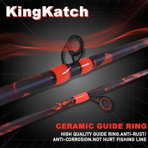6'6" Fiberglass Casting Rod, 2-Piece Skull Design, Durable & Sensitive with Split-Grip Handle, Perfect for Bass, Pike, Catfish Fishing in Freshwater & Saltwater - color: HLWQB-6'0", size: 6'0"
