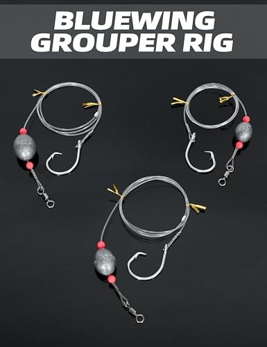 BLUEWING Fishing Grouper Rig Saltwater Fishing Rig with 2/4/6/8oz Egg Sinker Weight, Mono Line and Stainless Steel Circle Hook for Offshore Big Game - size: 4/0-2oz-0.6mm-50lbs