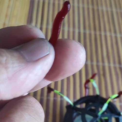 Soft Plastic Red Worm Baits, Scented Artificial Fishing Lures for Freshwater, Reusable Silicone Red Worms for Bass, Trout, and More