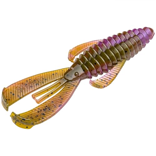 Strike King Rage Bug Fishing Lure, Soft Plastic Grub, Unique Design, Subtle Action - color: Green Pumpkin Purple Swirl, size: 4"