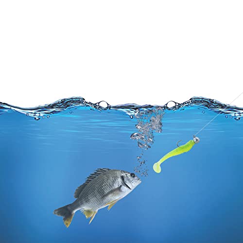 Paddle Tail Swimbaits 2 and 3 Inch Two-Tone Color Swim Baits 20/40 Pcs Fishing Worms with 5 Color Soft Plastic Bass Lure Baits