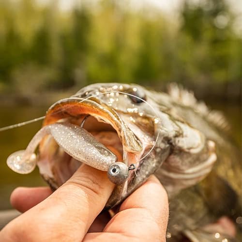 Rapala CrushCity Mayor Soft Plastic Paddle Tail Swimbait, Strong Kicking Action for Swim Jigs & Underspins, Bass, Redfish, Trout, Snook, Walleye & More - color: Albino Pearl, size: 3"