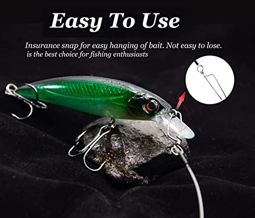 Fluorocarbon Fishing Leader,20LB-80LB Fluorocarbon Leaders for Saltwater Freshwater,100% Fluorocarbon Leaders Line with Swivels and Snap… - color: 12pcs, size: 20in-60lb