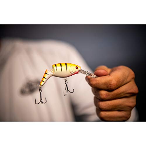 Berkley Flicker Shad Jointed Fishing Hard Bait - color: Firetail Rico Suave, size: 2 3/4 in - 1/3 oz