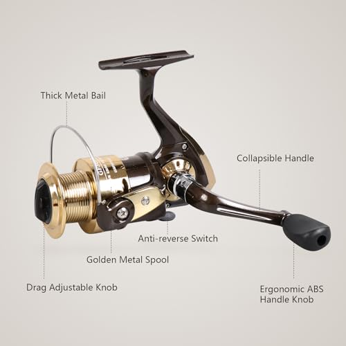 Spinning Fishing Reel for Freshwater Saltwater Fishing, Anti-Reverse with Front-Adjustable Drag - style: Gf3000 ( 3 Ball Bearings)