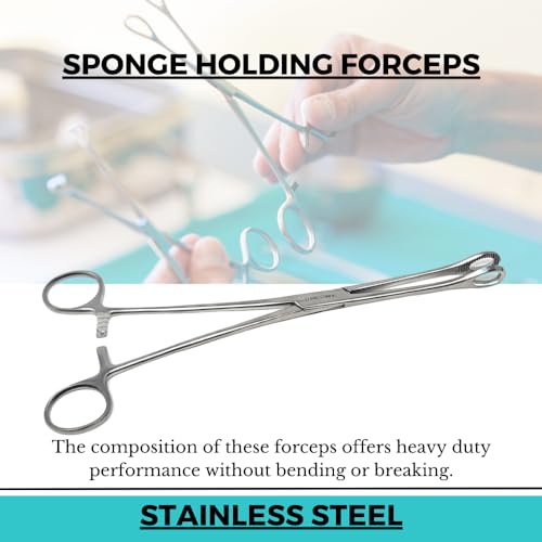 Foerster Sponge Forceps Straight + Curved Serrated Loop Jaws Holding Instruments Body Piercing Locking Clamps, Stainless Steel (9.5" - Straight) - style: 9.5" - Straight