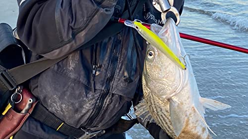 Nomad Design Shikari Fishing Lures, Premium Long-Casting, Shallow Diving, Slow Floating Jerkbait, for Inshore Freshwater Species Such as Bass, to Walleye, to Pike and Musky, 115 SUS FR 4-1/2" 1/2oz - size: 3 3/4" - 3/8 oz, style: Hickory Ghost