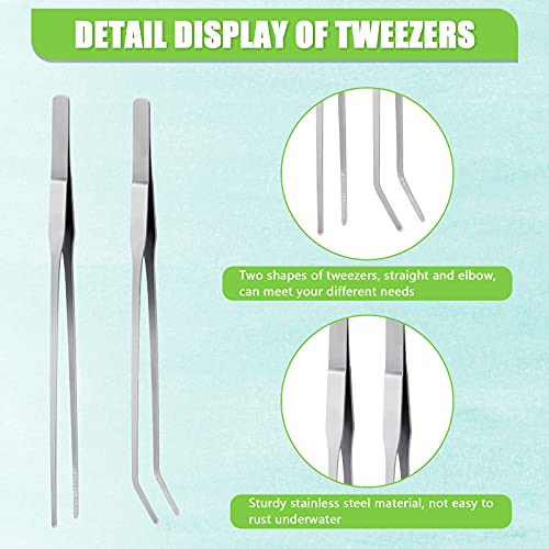 Weewooday 2 Pieces Aquarium Coral Feeder with 2 Pieces Stainless Steel Feeding Long Tweezers Syringe Spot Coral Feeder Reptile Feeding Tools for Aquatic Plant Reef Anemones Lionfish (Green, Silver) - color: Green, Silver