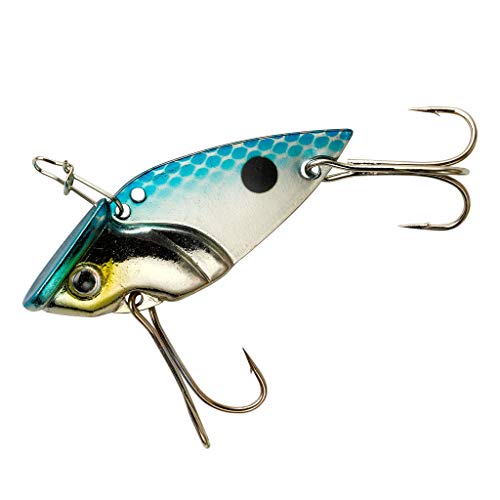 Cotton Cordell Gay Blade Spinner-Bait Fishing Lure - Great as a Casting Bait or Jigging Spoon - color: Chrome Blue Back, size: 1 1/2"