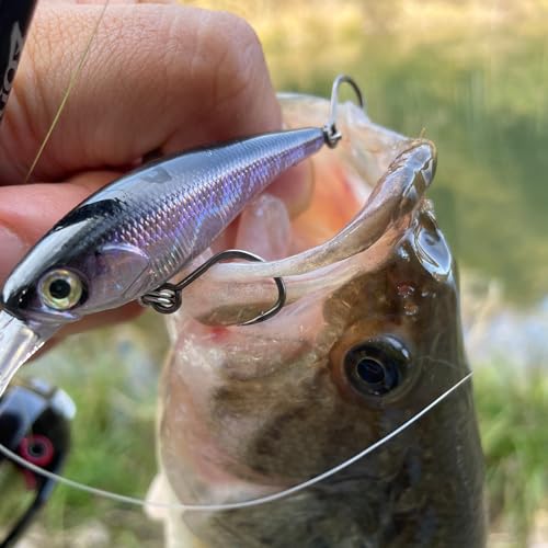 Inline Replacement Single Hooks for Hard Baits, Black Titanium Coated, Ultra Sharp & High-Strength, Includes Matching Split Rings — 4 Variants (#4-30 Pcs, #2-30 Pcs, #1-28 Pcs, #1/0-26 pcs) - color: #2-Inline-Single-Hooks, size: #2