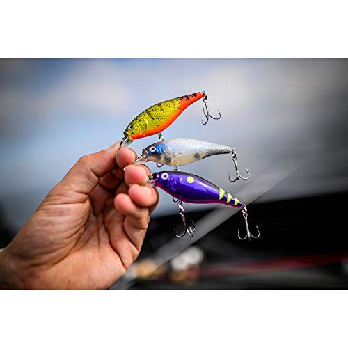 Berkley Flicker Shad Shallow - color: Slick Purple Bengal, size: 2/7 oz, 2 3/4"