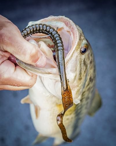 Berkley PowerBait Power Worms Fishing Soft Bait - color: Black/Blue, size: 7" (13 Count)