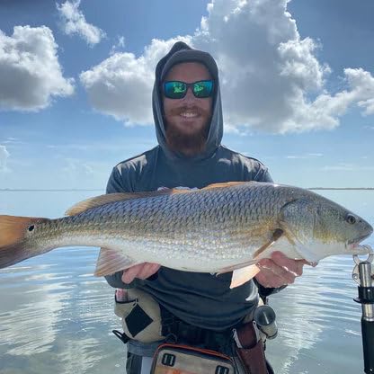 A.M. Fishing Curly Tail Jerkshad 4 Inch Soft Baits Garlic Infused,– 8 Pack – Saltwater & Freshwater Fishing Lures for Bass, Redfish, Snook, and Trout - color: Mansfield Magic
