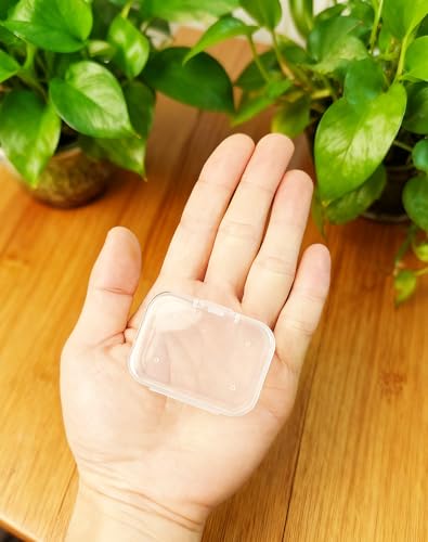 LJY 100 Pieces Rectangular Empty Mini Clear Plastic Organizer Storage Box Containers with Hinged Lids (2.2 x 1.6 x 0.8 inch, Transparent) - color: Transparent, size: 2.2 x 1.6 x 0.8 inch