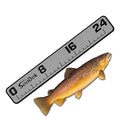USATuff SeaDek EVA Foam Fish Measuring Ruler for Boat, Fishing, Kayak | Adhesive Backing Peel & Stick - 24" StormGray-Black - color: StormGray-Black, style: 24 inch