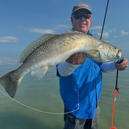 A.M. Fishing Curly Tail Jerkshad 4 Inch Soft Baits Garlic Infused,– 8 Pack – Saltwater & Freshwater Fishing Lures for Bass, Redfish, Snook, and Trout - color: Watermelon Red Chartreuse