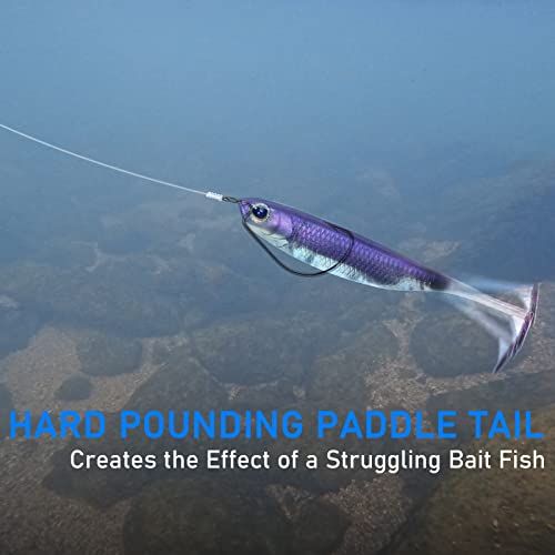 Dr.Fish Paddle Tail Swimbaits, Soft Fishing Lures for Bass Fishing 2.75-4.75 Inches, Freshwater & Saltwater Soft Plastic Baits Swim Shad Bait Minnow Lures Drop Shot - color: Purple, size: 3.06"-6 Pack