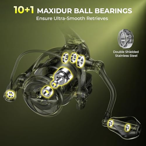 KastKing Sharky Spinning Reel – 5.2:1 & 6.2:1 Gear Ratios, Carbon Fiber Drag 33–39.5LB, 10+1 Stainless Bearings, Lightweight Nylitech Body, Oversize Shaft, for Saltwater & Freshwater - color: 6.2:1-Sharky X, size: 2000