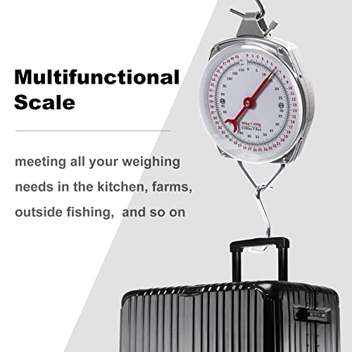 Mechanical Hanging Scales 110lbs/50kg, High Accuracy Spring Dial Weight Scale for Kitchen Fishing Hunting Farms - color: B1:110 pounds/50kg-Gray