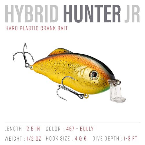 Strike King Hybrid Hunter Shallow Jr. Fishing Lure, Shallow Diving Crankbait, 90-Degree Bill, 3D Eyes, Loud Rattle, Dives 1 to 3-Feet,Size 4 & 6 Treble Hooks - color: Bully, size: 1/2 oz