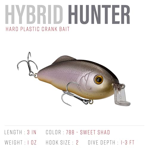 Strike King Hybrid Hunter Shallow Jr. Fishing Lure, Shallow Diving Crankbait, 90-Degree Bill, 3D Eyes, Loud Rattle, Dives 1 to 3-Feet,Size 4 & 6 Treble Hooks - color: Sweet Shad, size: 1 oz