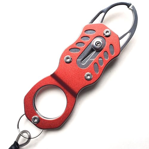 Stainless Steel Mini Fish Grip Tool, Portable Fishing Pliers with Retractable Lanyard and Carabiner, Self-Locking Rustproof Lip Gripper for Kayak Saltwater Freshwater Fishing