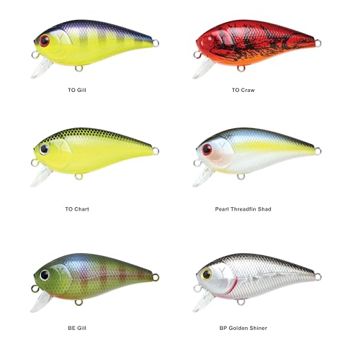LUCKY CRAFT LC 1.5SSR, Wobbling Freshwater Lake Bass Fishing Bait - color: 419 BP Golden Shiner
