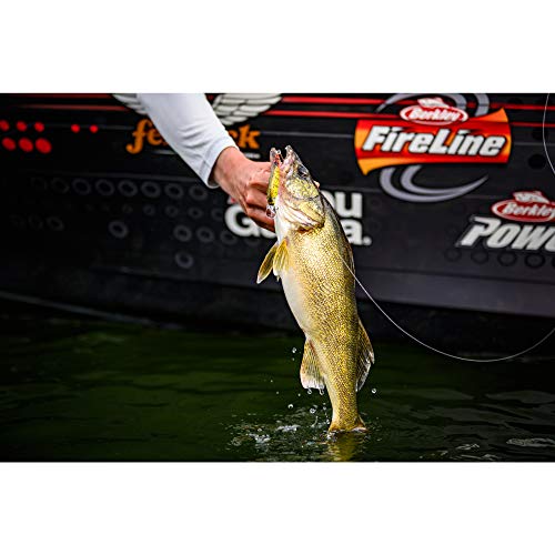Berkley FFSH - color: Black Silver, size: 2 in - 1/6 oz