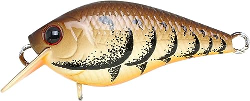 Lucky Craft LC 0.3 Squarebill Crankbait, Silent Fishing Lure for Bass Trout and Pike, Made in Japan, Freshwater Fishing Gear, Hard Bait Bass Lures, 507 All Brown Craw