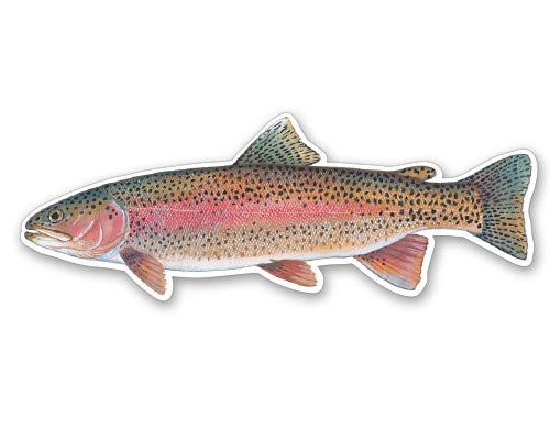 Rainbow Trout Fish - Vinyl Sticker Waterproof Decal - size: 5"