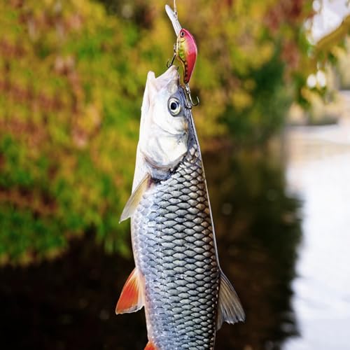 20pcs/25pcs Fishing Blanks Lures Kit Fishing Topwater Unpainted Swimbait Unpainted Crankbaits Hard Baits DIY Lure for Bass Salmon Trout Saltwater and Freshwater - color: 25PCS 3.53″/0.38oz