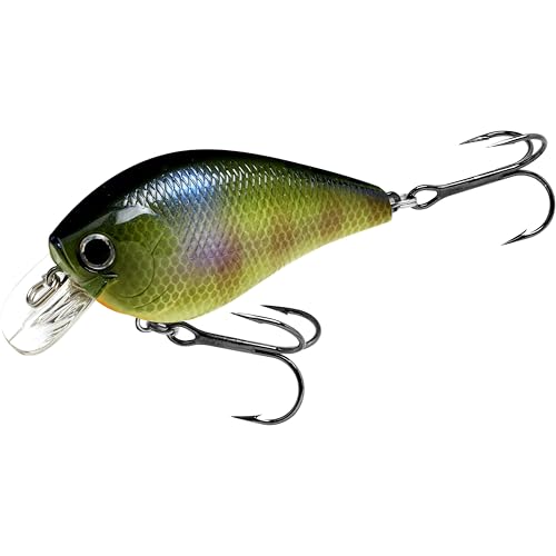 LUCKY CRAFT Fat CB BDS2 Fishing Lure, 2.5" Floating Squarebill Crankbait, 2–3 ft Depth, Freshwater Trout and Bass Lures, Bass Fishing Gear and Tournament Hard Bait - color: 269 BE Gill