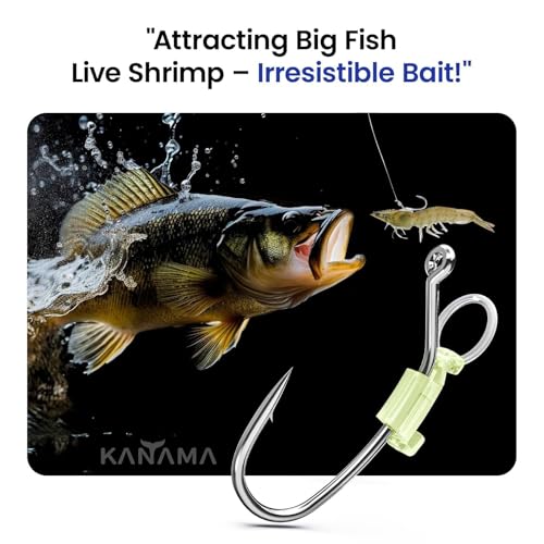 KANAMA Luminous Live Shrimp Hooks - High Carbon Steel Fishing Hooks Saltwater Corrosion Resistant Barbed Strong Hooks Freshwater Shrimp Walker, Ideal for Bass, Groupers, Pike, Catfish & More - size: M ×30